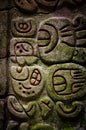 Caracol Belize glyphs