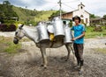 Caracoli, Antioquia - Colombia - March 29, 2023. Colombian muleteer, transporter of raw milk in the field