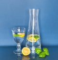 A Carafe and a Glass of Water with Lemon.