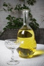 Carafe with a glass of white wine on the table close-up Royalty Free Stock Photo