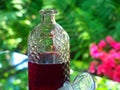 Carafe with homemade berry liqueur on a background of pink begonia and fern leaves