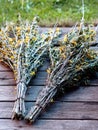 Caragana shrub with even pinnate leaves with small leaflets and with small yellow flowers Royalty Free Stock Photo