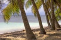 Caraibes and atlantic tropical sea, guadeloupe and martinique island