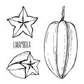 Carambola black and white vector set isolated on a white background.