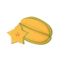 Carambola cartoon vector illustration