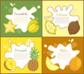 Carambola and Cupuacu Posters Vector Illustration
