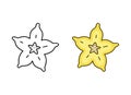 Carambola cutaway doodle icon. Linear and color version. Hand drawn simple illustration of star fruit. Contour isolated vector Royalty Free Stock Photo