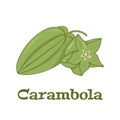 Carambola Fresh Green Fruit Full And Sliced Vector Image on a white background