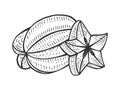Carambola fruit sketch engraving vector