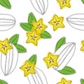 Carambola fruit sliced seamless pattern. Stylized colorful star fruit. Vector hand draw illustration.