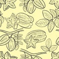 Carambola hand engraved seamless pattern.