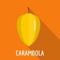 Carambola icon, flat style Royalty Free Stock Photo
