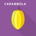 Carambola icon, flat style