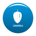 Carambola icon blue vector