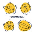 Carambola icons set. Vector hand drawn exotic fruit. Whole and half, slices of fresh starfruit used for exotic restaurant food