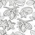 Carambola seamless pattern vector illustration.