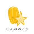 Carambola star fruit flat vector illustration