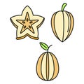 Carambola star fruit icons set vector color