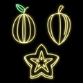 Carambola star fruit icons set vector neon