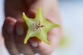 Carambola, star fruit sliced in hand.