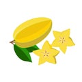 Carambola, star fruit vector illustration isolated on white background. Juicy tropical exotic fruit.