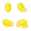 Carambola star fruit, whole fruit, half, slice, vector illustration