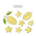 Carambola, star fruit. Whole, slice, leaf. Colorful sketch collection of tropical fruits isolated on white background. Doodle hand Royalty Free Stock Photo