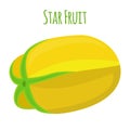 Carambola, star fruit, yellow vegetarian nutrition. Cartoon flat style. Vector illustration