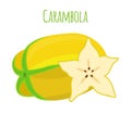 Carambola, star fruit, yellow vegetarian nutrition. Cartoon flat style. Vector illustration