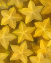 Carambola Starfruit