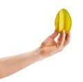 Carambola starfruit in hand