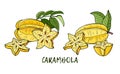 Carambola or Starfruit.Yellow and red tropical fruits and pieces on white background.