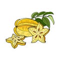 Carambola or Starfruit.Yellow tropical fruits and pieces on white background.