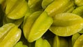 Carambola tree with fruits