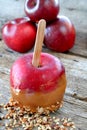 Caramel Apple Royalty Free Stock Photo