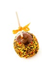 Caramel apple Royalty Free Stock Photo