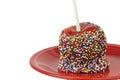 Caramel apple with rainbow sprinkles Royalty Free Stock Photo