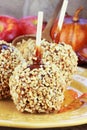 Caramel Apples Royalty Free Stock Photo