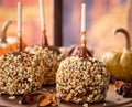 Caramel apples coated with nuts with autumn background Royalty Free Stock Photo