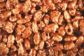 Caramel and chocolate puffed rice background. Rice krispies bar, copy space.