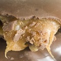 Caramel macro square Royalty Free Stock Photo