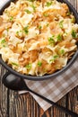 Caramelized Austrian Krautfleckerl Cabbage and Pasta with onion closeup on the bowl on the table. Vertical top view