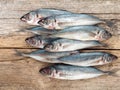 Carangidae fishes on the gray wooden board Royalty Free Stock Photo