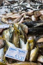 Carapau in fresh fish market in Tavira, Portugal Royalty Free Stock Photo