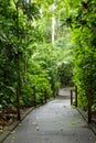 Carara National Park, Costa Rica. Universal path Royalty Free Stock Photo