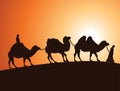 vector caravan of bactrian camels and bedouins in