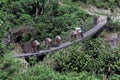 Caravan on the bridge Royalty Free Stock Photo