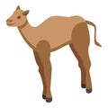 Caravan camel icon, isometric style Royalty Free Stock Photo