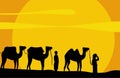 Caravan of camels