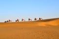 A Caravan of Camels carrying tourists in Sam Sand Dunes, Thar Desert, Jaisalmer, India. Located in the midst of the Thar Desert, Royalty Free Stock Photo
